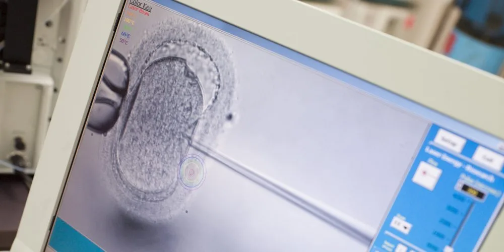 Medicated vs natural frozen embryo transfer